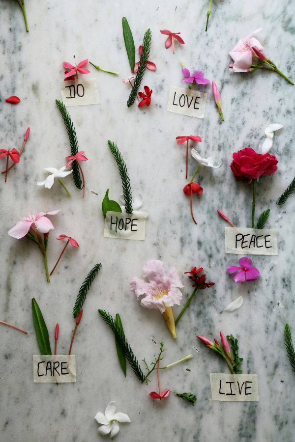 Imagen de varias flores pegadas en un muro