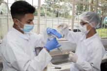 Foto de dos estudiantes realizando ejercicios de laboratorio